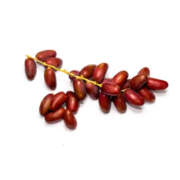 Natural Fresh Dates